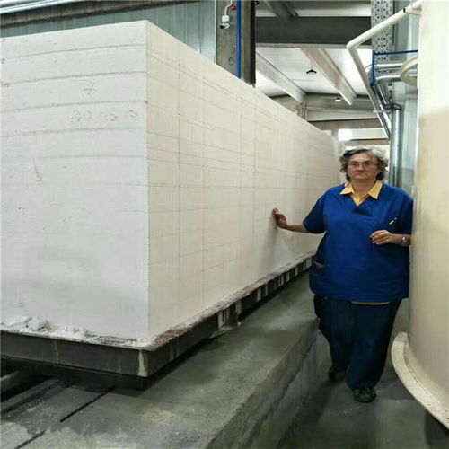 江西加气板材设备生产厂
